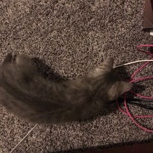 Meet your Posher, Christina